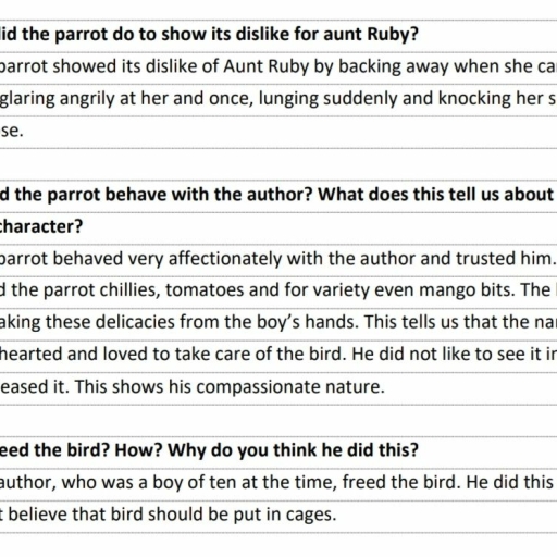 H.W :Chapter-2 The Parrot Who Wouldn't Talk - English - Assignment ...