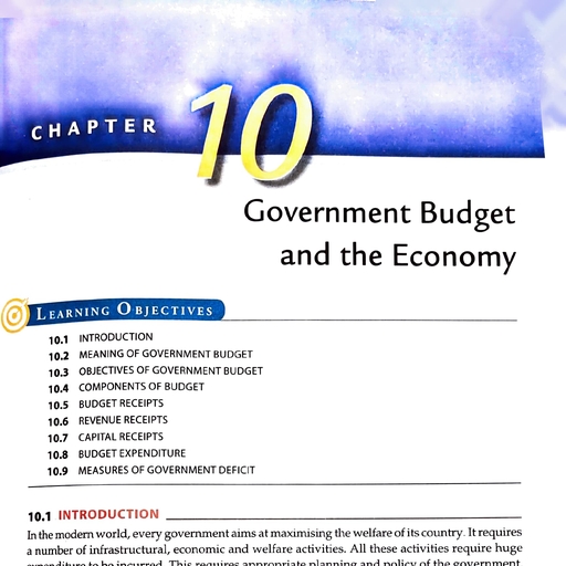 Chapter -10 Government Bu - Economics - Notes - Teachmint