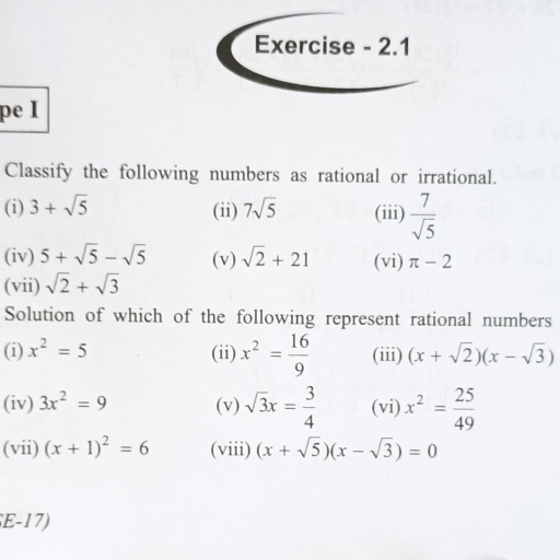 Real Numbers (Exercise-2.1) - Mathematics - Assignment - Teachmint