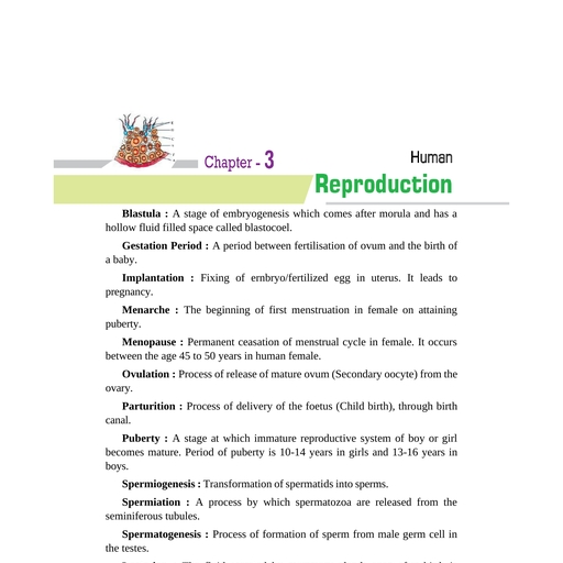 Human Reproduction.pdf - PHY CHEM MATHS BIO - Free PDF Download 2026