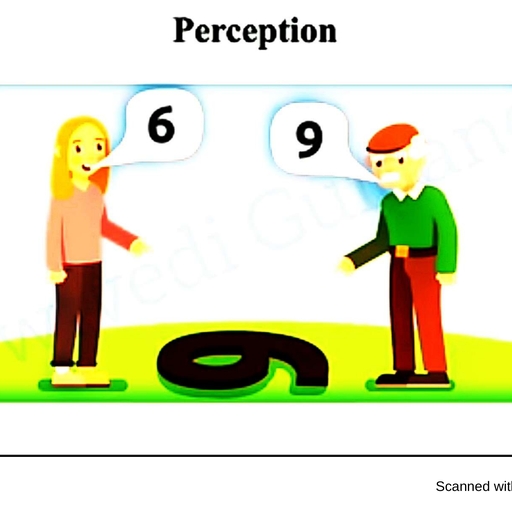 Perceptual Process.pdf - Organization Behaviour - Notes - Teachmint