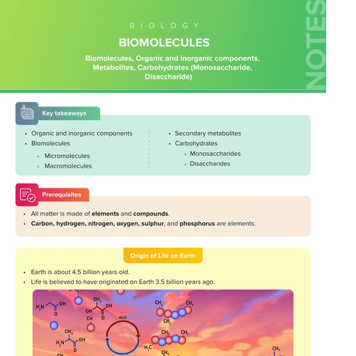 Biomolecules - Biology - Free PDF Download 2026