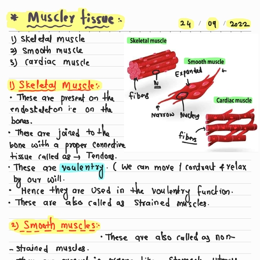 Musculer Tissue.pdf - Science - Free PDF Download 2026